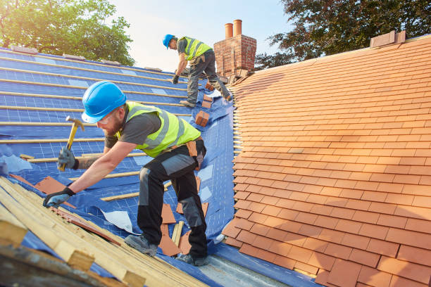 Best Metal Roofing Installation  in Sa Loma, CA